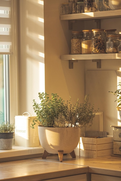 Bucătărie primitoare